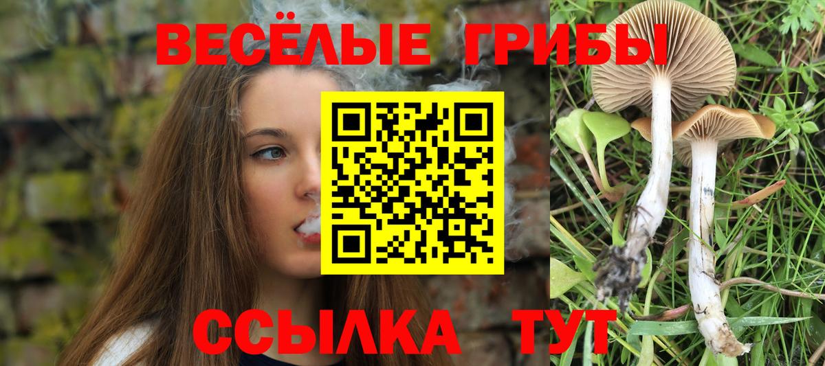 Галлюциногенные грибы ЛСД Скопин