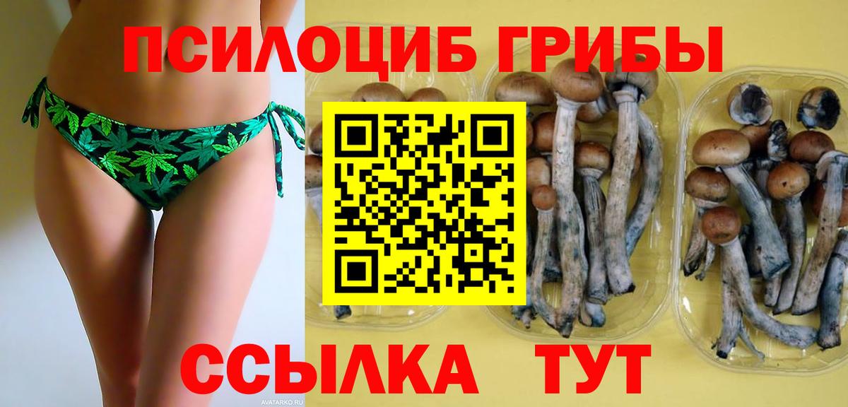 Скопин  Галлюциногенные грибы Psilocybe  где купить наркоту  Галлюциногенные грибы GOLDEN TEACHER  Вход с VPN 